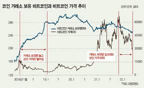 2022 년 비트 코인